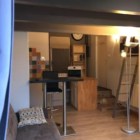Ravissant Studio Avec Parking Prive アパート *